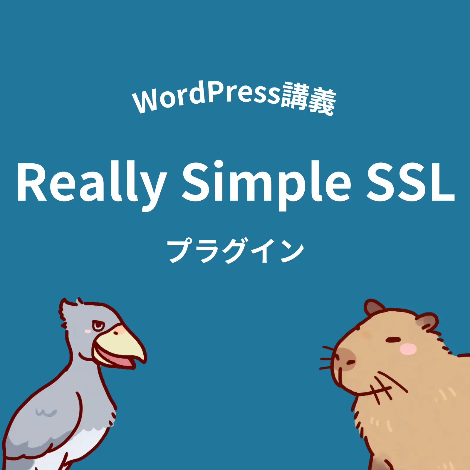 Really Simple SSLプラグイン使い方